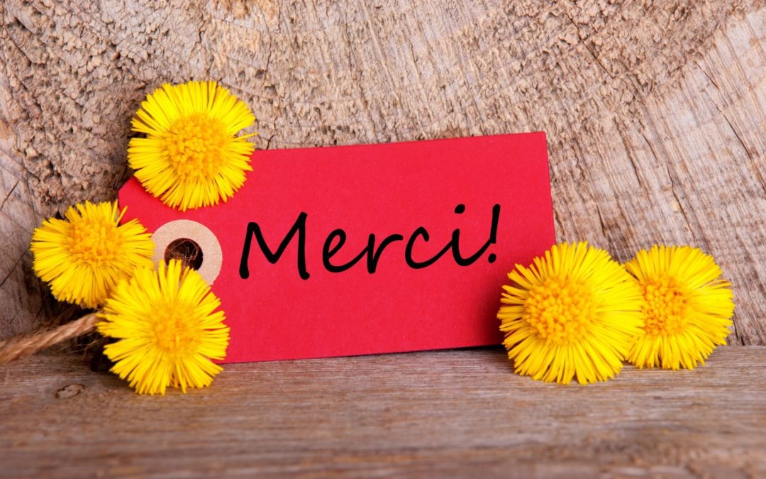 LA GRATITUDE ,RECONNAISSANCE à tout ce que je possède déjà, Savoir Dire Merci #1