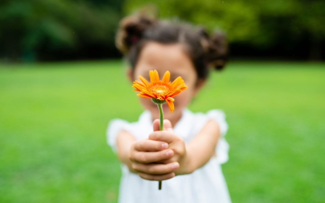 COACHING SUR LA Gratitude du bien-être