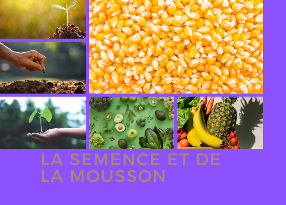 LA SEMENCE ET DE LA MOISSON (11-12) Pasteur Sosthène MABOUADI